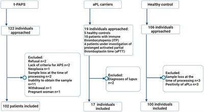 Evaluation of a gene signature related to thrombotic manifestations in antiphospholipid syndrome